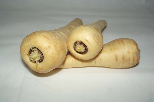 Parsnip